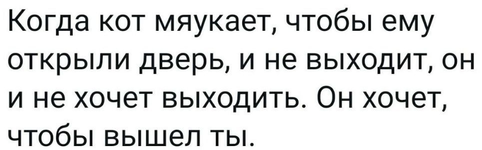 Когда кот мяукает чтобы ему открыли дверь и не выходит он и не хочет выходить Он хочет чтобы вышел ты