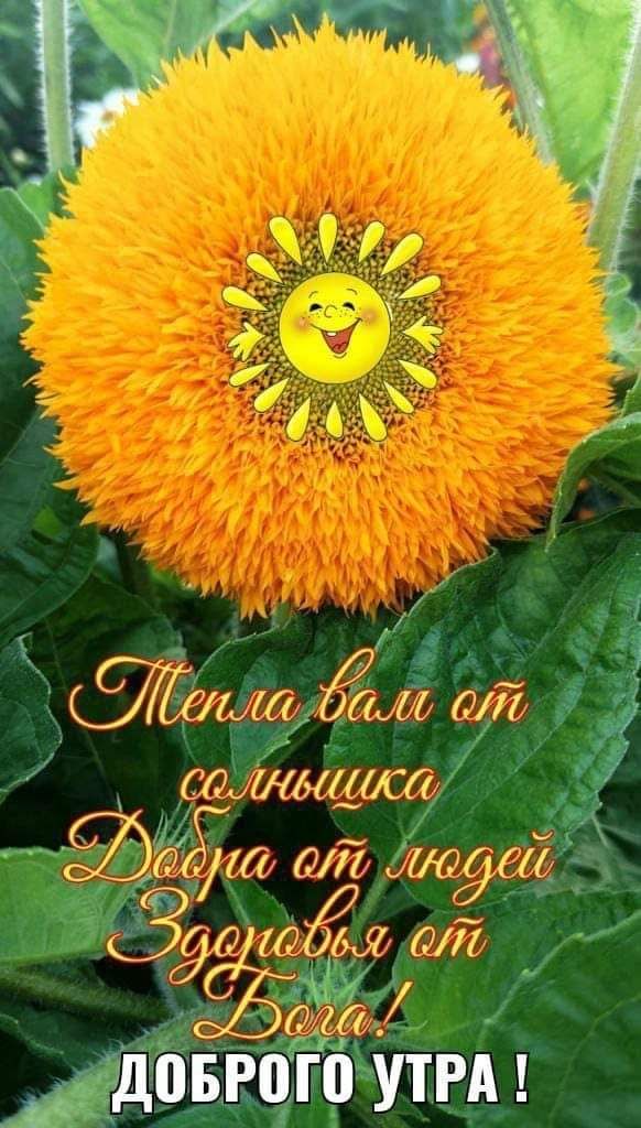 аЩЛіГШИ 01 910 076Л636 666 0 го ути