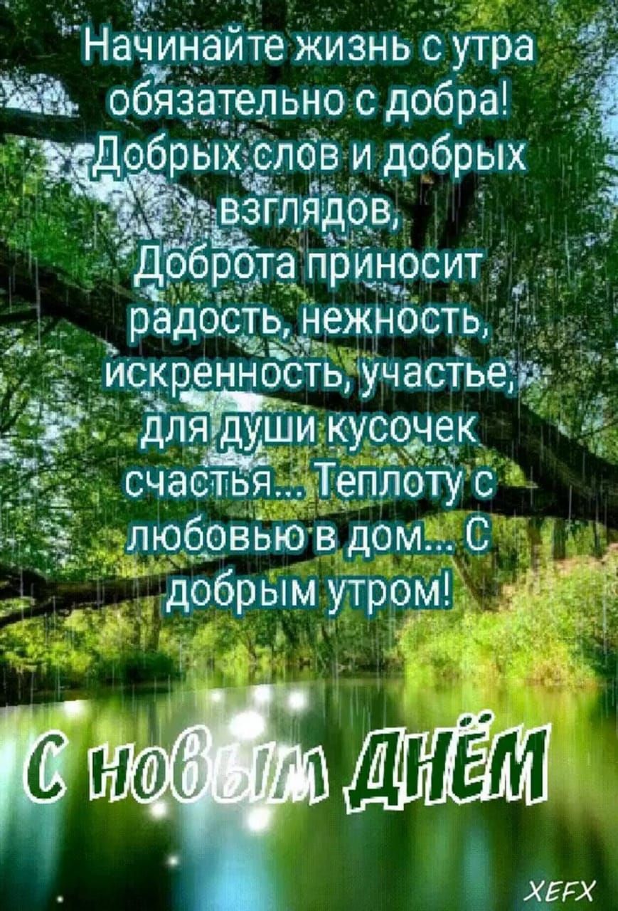 Начинаите жизнь с утра о_бяа тельно с добра 1 рота пЬЙносит радость ежнЬсть искрен отъ іучастьеіш Ёляідуіцш кусчочек пт 5 любрГвызівдом добрымутром