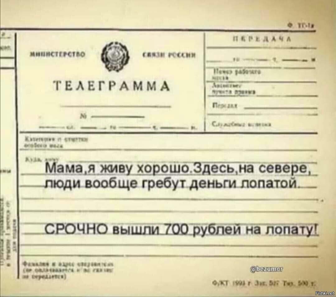 ппу дн ш ТЕЛЕГРАММА