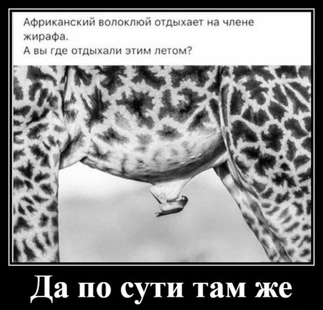 ЩЗЖ Да по сути там же