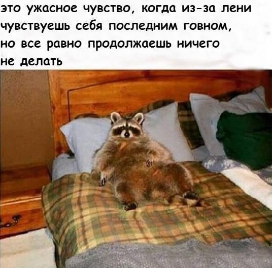 ЭТО УЖОСИОВ ЧУВСТВО кигла И3ЗО ЛЕНИ ЧУВСТВУВШЬ себя ПОСЛЕДНИМ ГОВНОМ на ВСЕ РЦВНО продолжаешь НИЧЕГО не ЛЕЛОТЬ