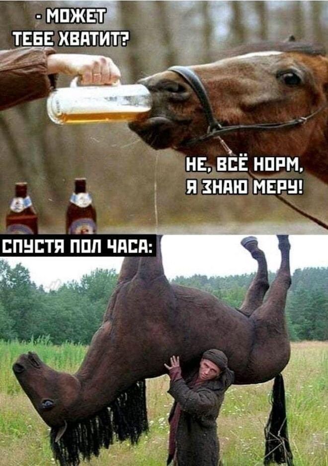 ТЕБЕ ХВПТИТП Т нв віЁ нппм я знаю мин ЕПНЕТЯ ППЛ ЧАЕП