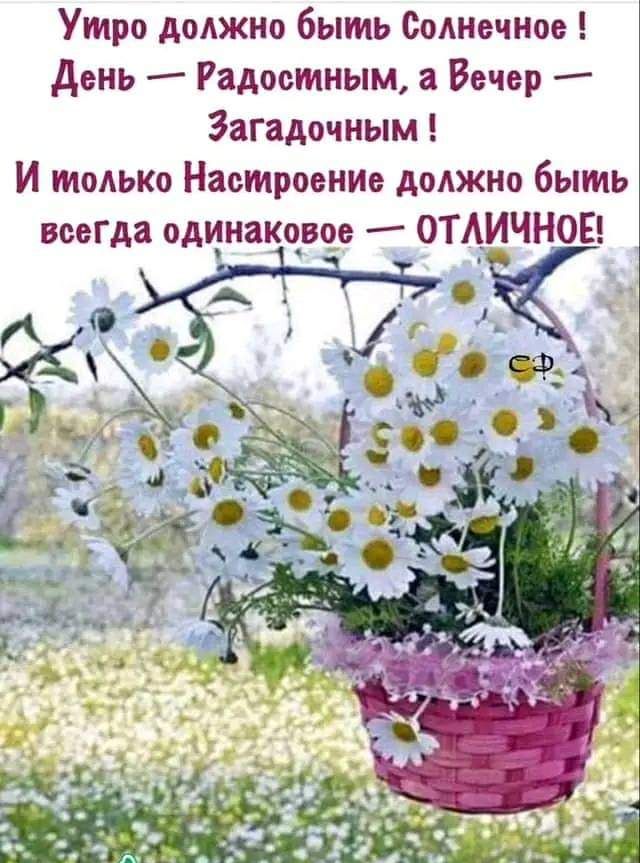 Утро должно быть Солнечное день Радостным а Вечер Загадочным И только Настроент должно быть всегда одинаковое ОТАИЧНОЕ
