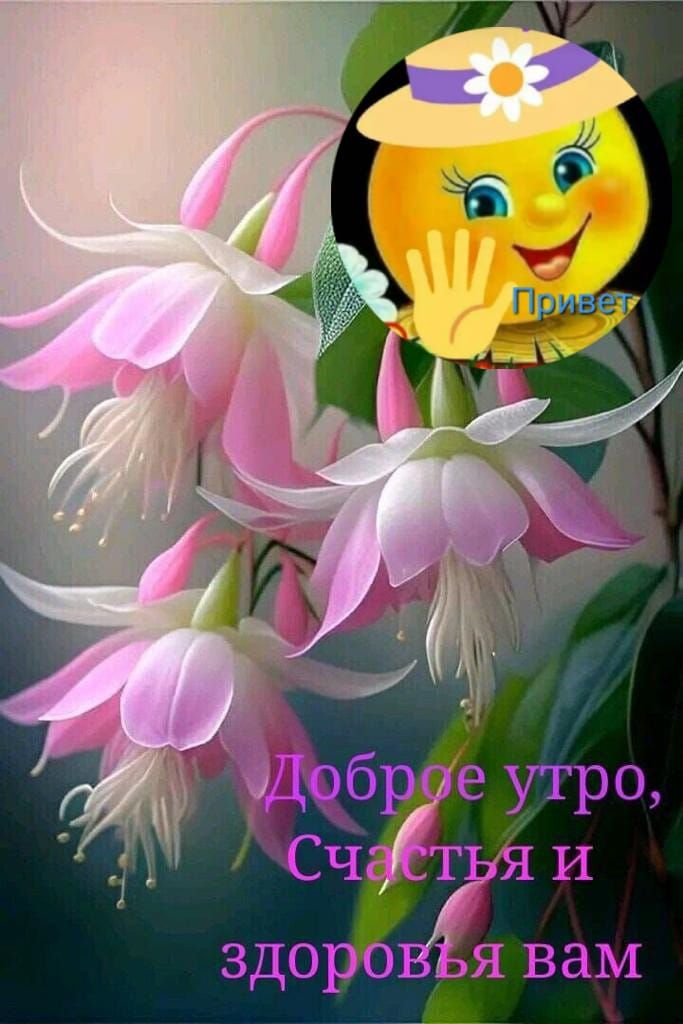 ЗДОРОВЁВЗМ