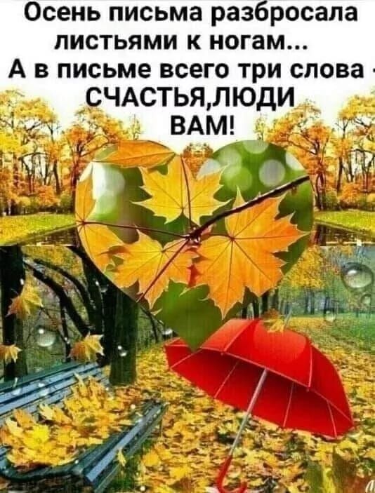 Осень письма раз росапа листьями к ногам А в письме всего три слова