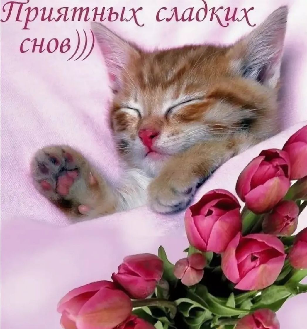 Приятных сладких снова Ё