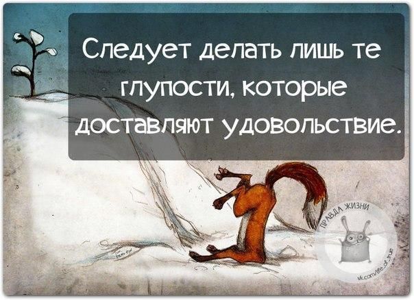 Следует делать лишь те _ глупости которые доставляют удовольствие