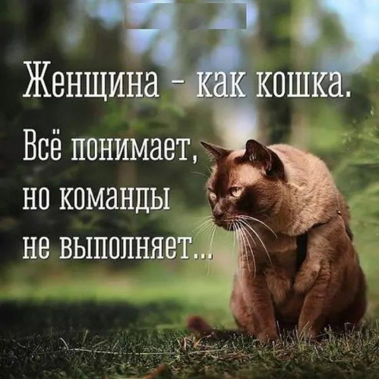 Женщина Всё понимает НП КОМЗНДЫ ЗЫ и