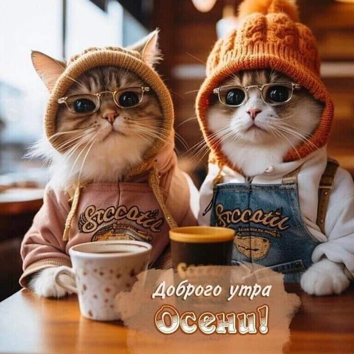 Дбрагоэ утра осени