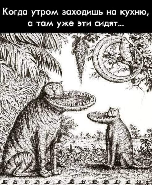 Когда утром заходишь на кухню и там уже эти сидят