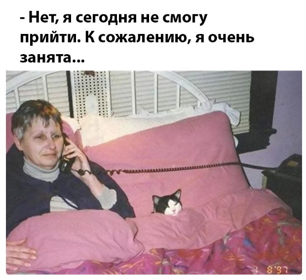 Нет я сегодня не смогу прийти К сожалению я очень занята