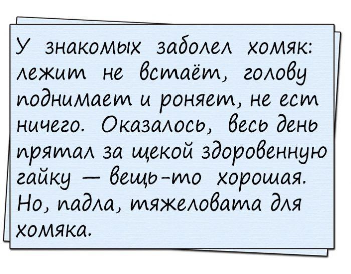 У знакомых задом хомяк АеЖШМ не встаёт голобу поднимает и роняем не ест ничего Оказалось беса день пряма за щекой здоровенную гайку вещишо хорошая Но мдм мяжелобаида для хомяка