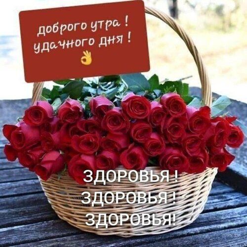 дибрОГС 97104