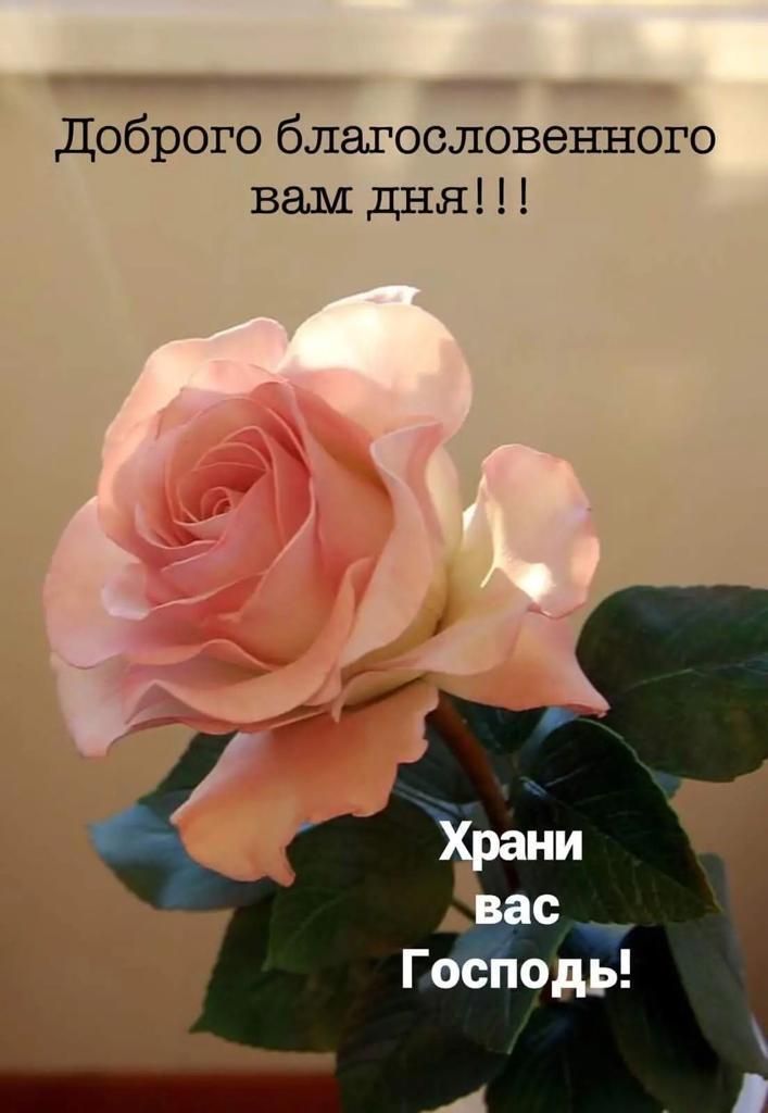 Доброго благословенного вам дня