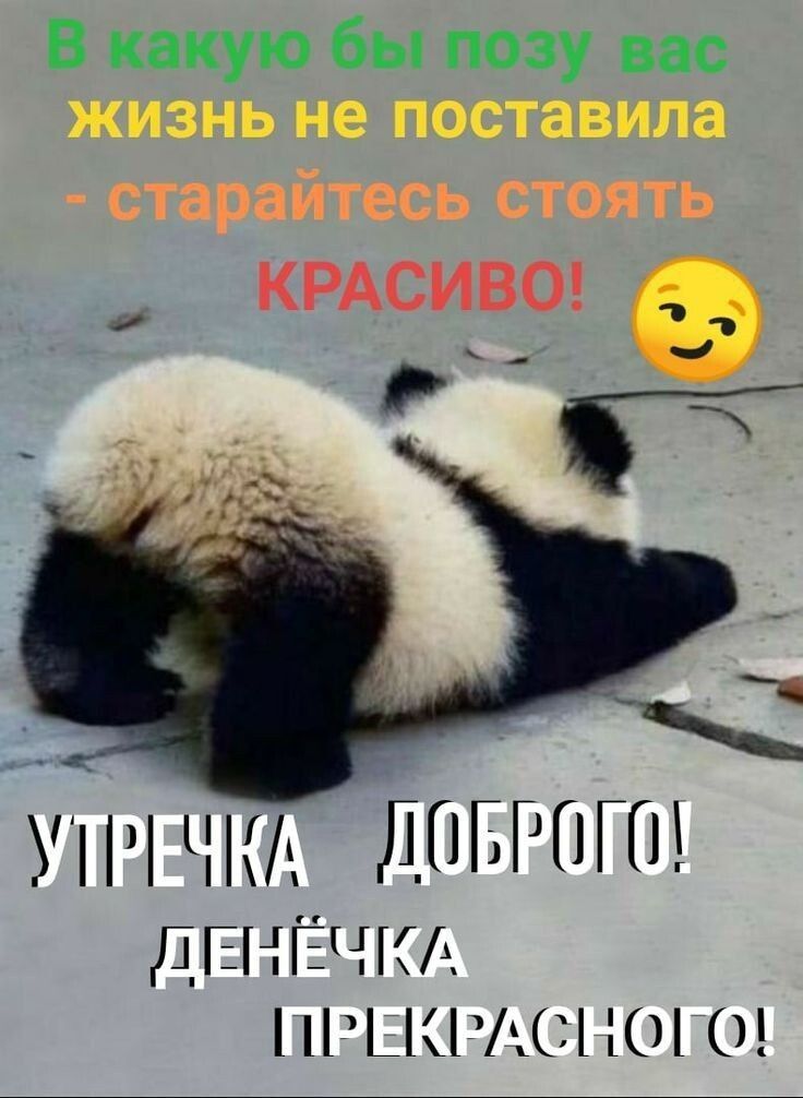 В какую бы позу вас КРАСИВО __ і УЧ ЛПППГШ дЕНЁчкд _КС 101 0