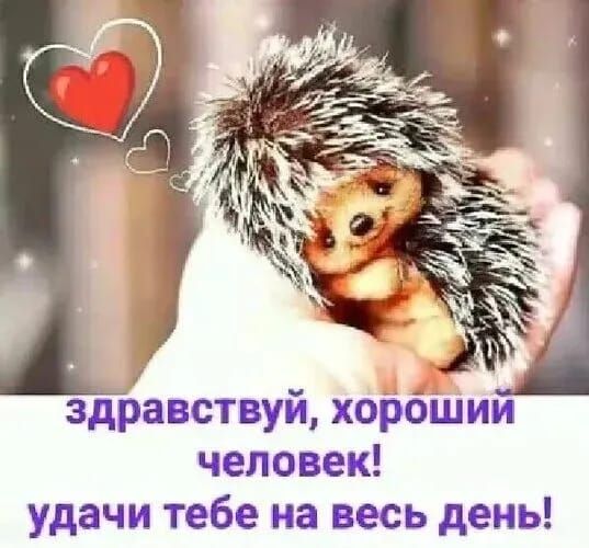 здравствуй хорбіЦии человек удачи тебе на весь день