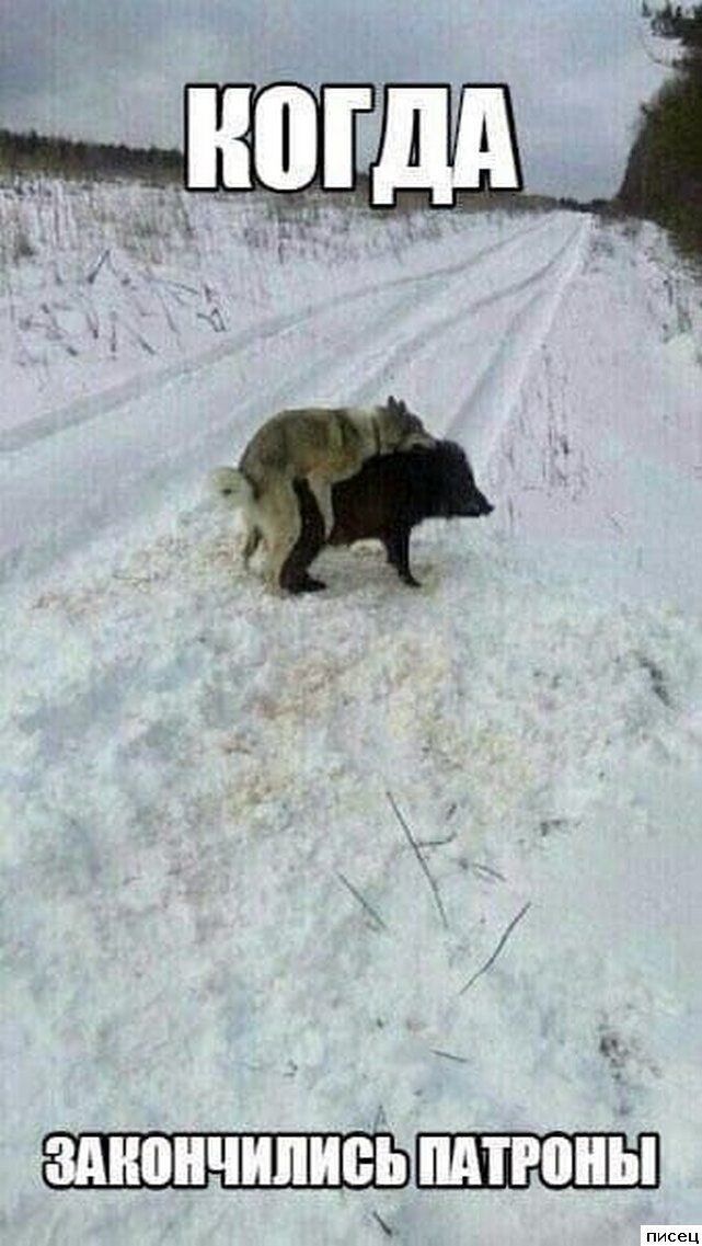 ШШЮЁП