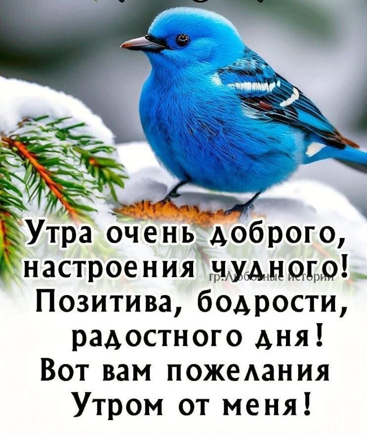 Утра очень доброго настроения аудиоди Позитива бодрости радостного дня Вот вам пожедания Утром от меня