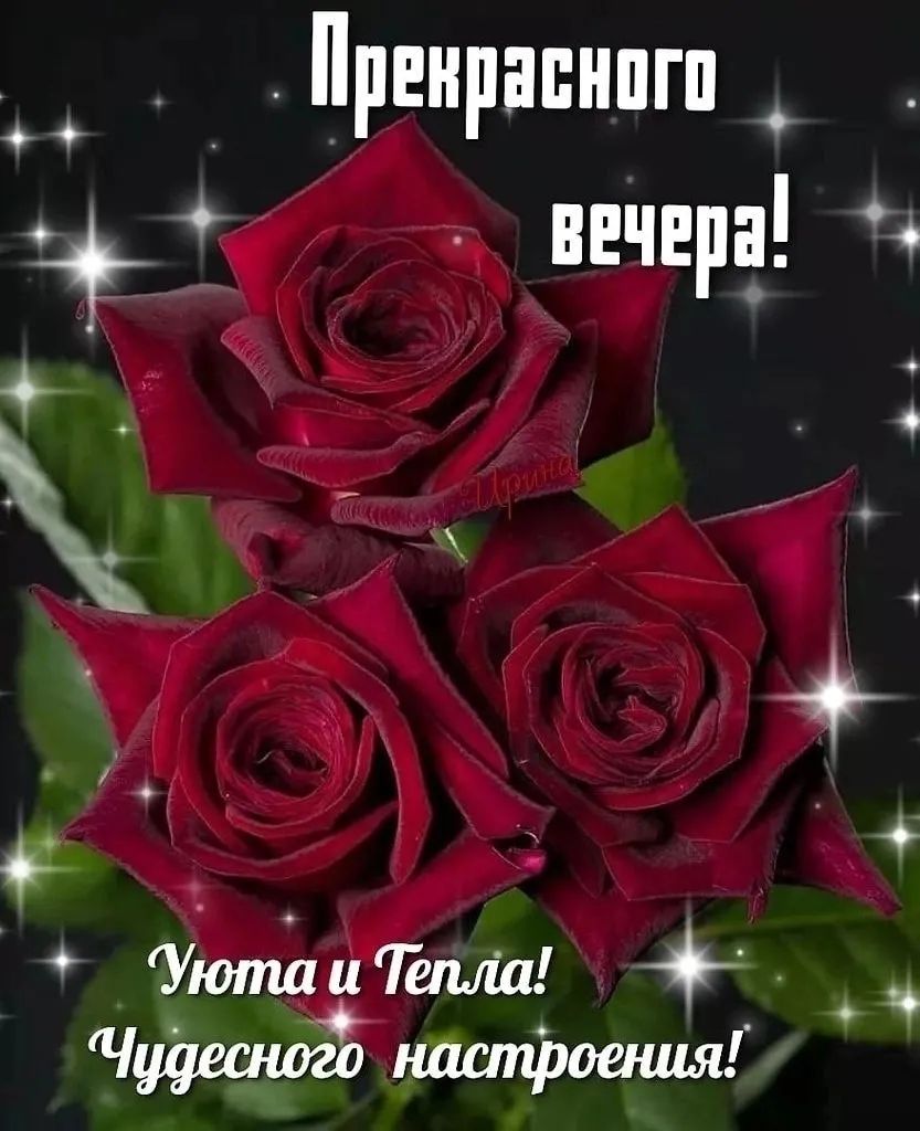 Пренрапнпгп вечер Ё ё