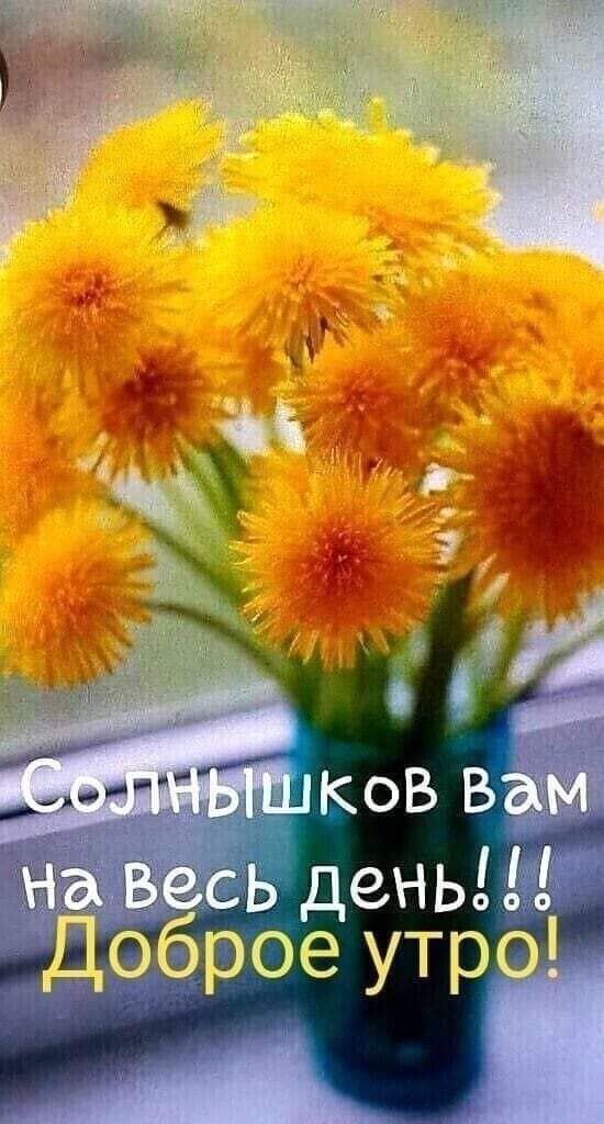 ёсь день оброе утр