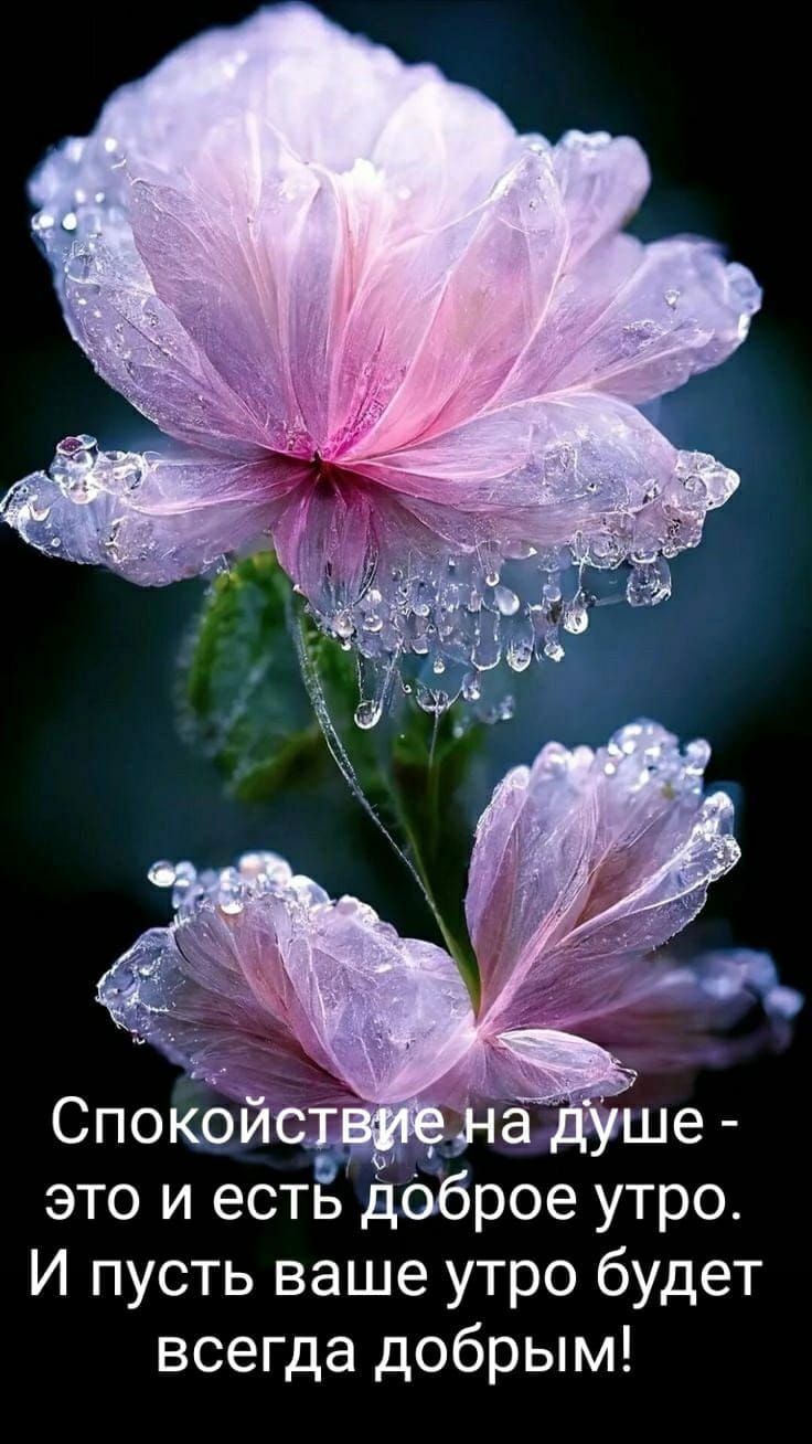 это и есть доброе утро И пусть ваше утро будет всегда добрым