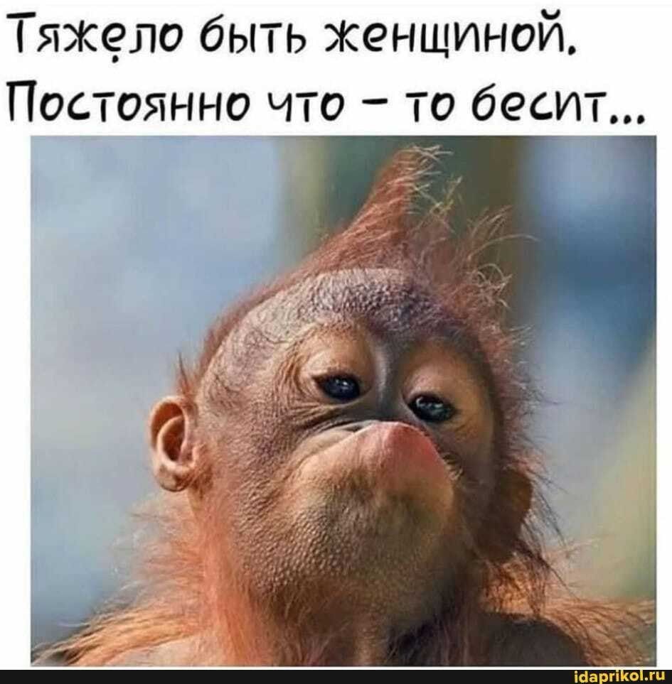 Тяжело быть женщиной Постоянно что то бесит