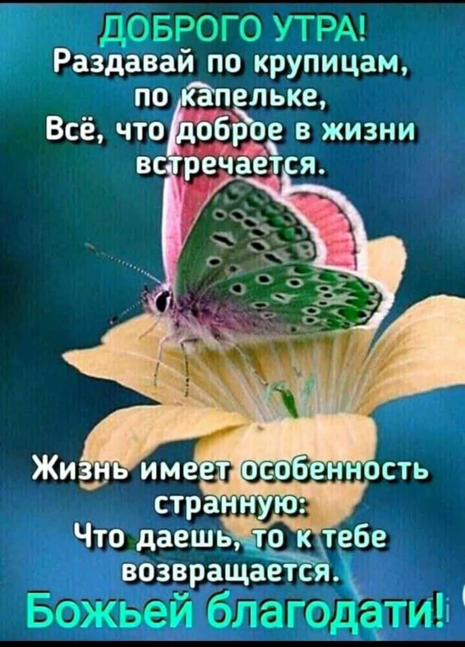 доврого УТРА Раздавай по крупицам по темке Всё чтоёдобдор в жизни Божьей благо атив