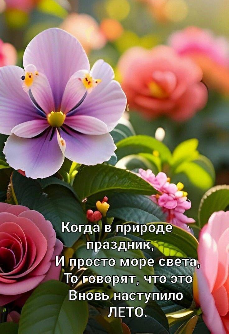 аіі Когда в природе праздник И просто море света Тог оворят что это Вновь наступило ЛЕТО