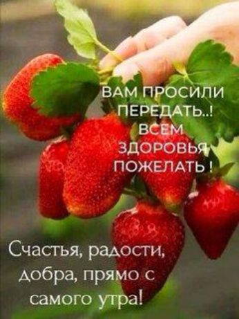 ЁАМ просили а_ъ пвреддтьд всцм здоровьяф пожелпы Счастья радости добра прямо с самого утра