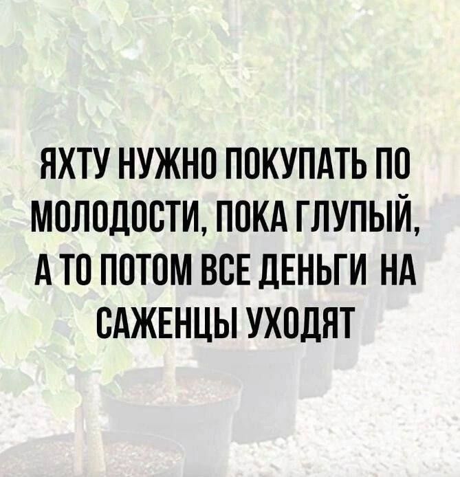 ЯХТУ НУЖНО ПОКУПАТЬ ПО МОЛОДОСТИ ПОКА ГЛУПЫЙ АТО ПОТОМ ВСЕ ДЕНЬГИ НА САЖЕНЦЫ УХОДЯТ