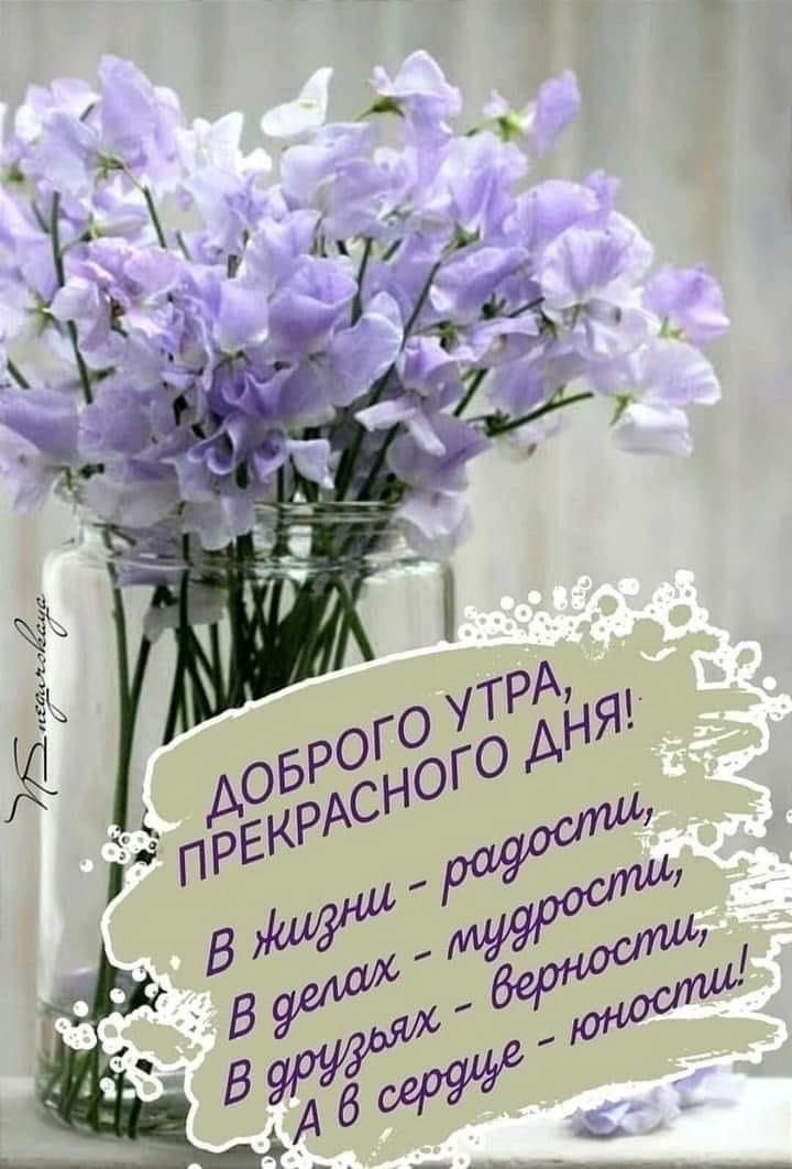 ДОБРОГО УТРА, ПРЕКРАСНОГО ДНЯ!
В жизни - радости,
В делах - мудрости,
В друзьях - верности,
А в сердце - юности!