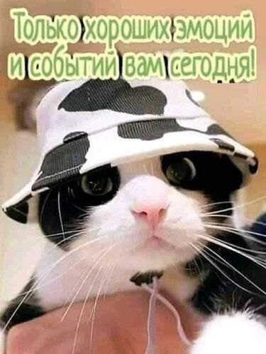 Только хороших эмоций и событий вам сегодня!
