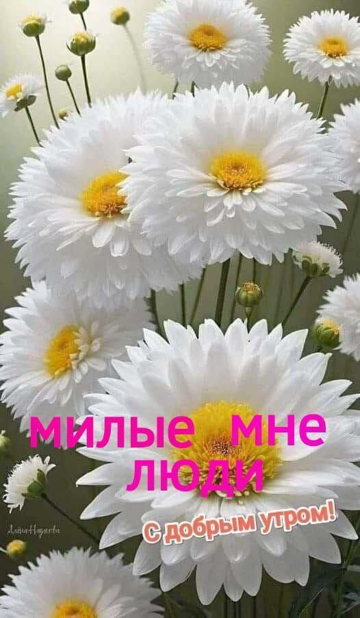 милые мне люди
С добрым утром!
