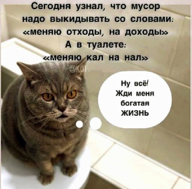 Сегодня узнал, что мусор надо выкидывать со словами: «меняю отходы, на доходы» А в туалете: «меняю кал на нал» Ну всё! Жди меня богатая ЖИЗНЬ