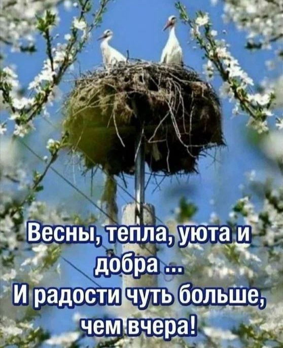 Весны, тепла, уюта и добра ... И радости чуть больше, чем вчера!