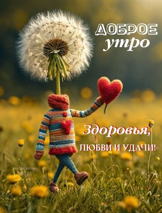 ДОБРОЕ утро
Здоровья, любви и удачи!