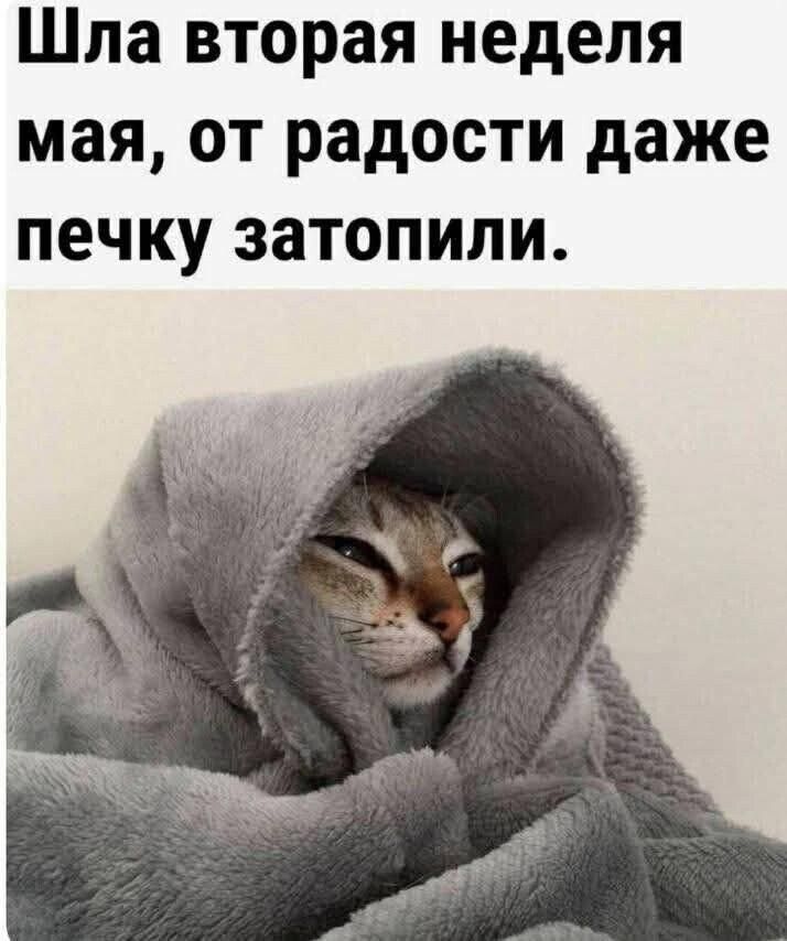 Шла вторая неделя мая, от радости даже печку затопили.