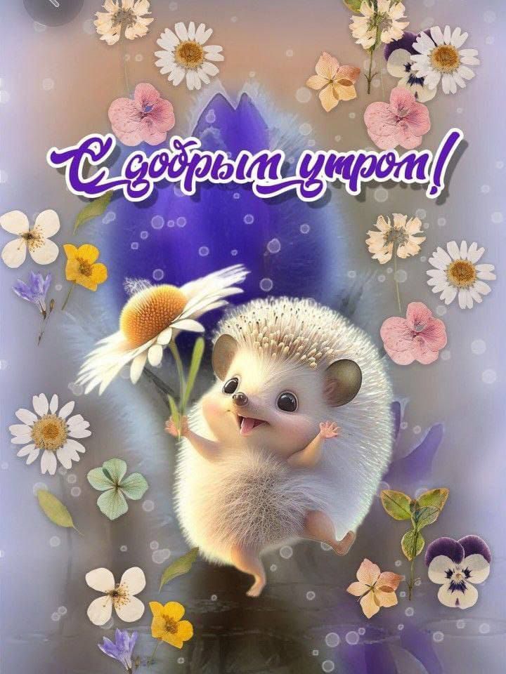 С добрым утром!