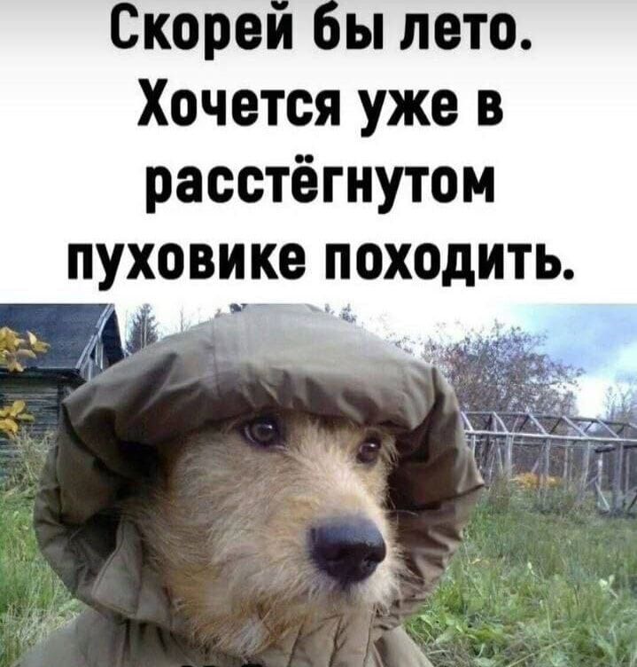 Скорей бы лето. Хочется уже в расстёгнутом пуховике походить.