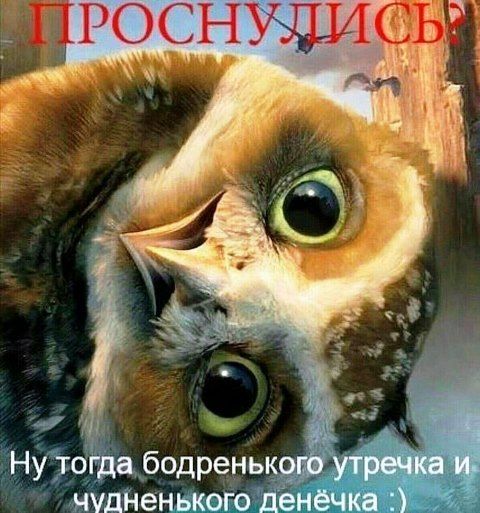 ПРОСНУЛИСЬ?
Ну тогда бодренького утрэчка и чудненького денёчка :)