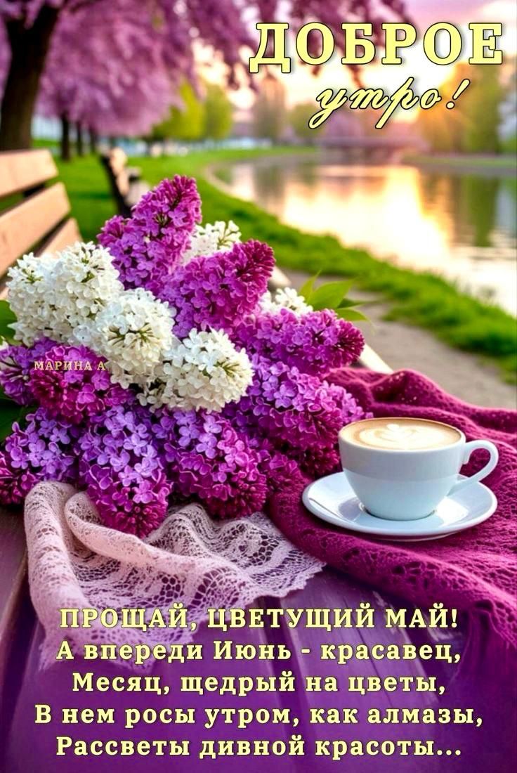 ДОБРОЕ утро! ПРОЩАЙ, ЦВЕТУЩИЙ МАЙ! А впереди Июнь - красавец, Месяц, щедрый на цветы, В нем росы утром, как алмазы, Рассветы дивной красоты...
