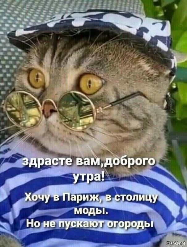 здравствуйте вам, доброго утра! Хочу в Париж, в столицу моды. Но не пускают огороды