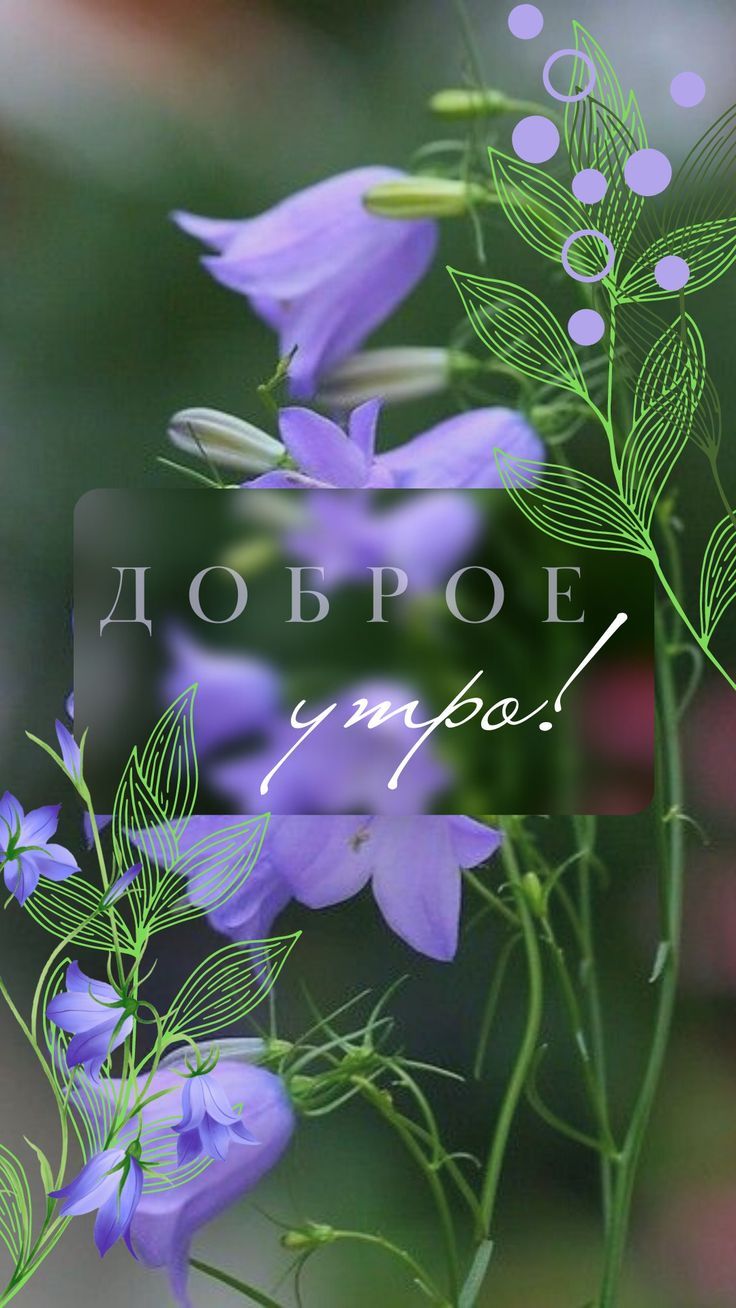ДОБРОЕ утро!