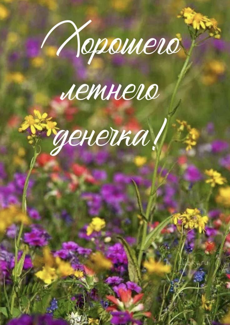 Хорошего летнего денечка!