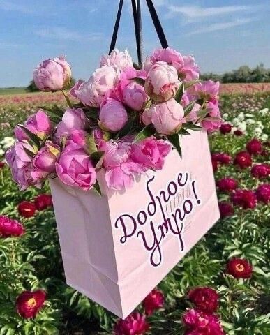 Доброе утро!