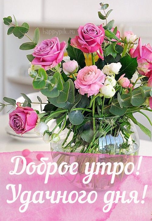 Доброе утро! Удачного дня!