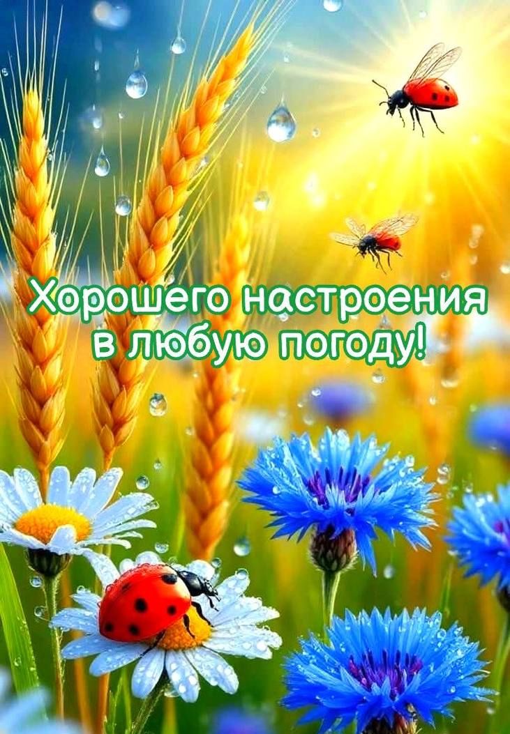 Хорошего настроения в любую погоду!