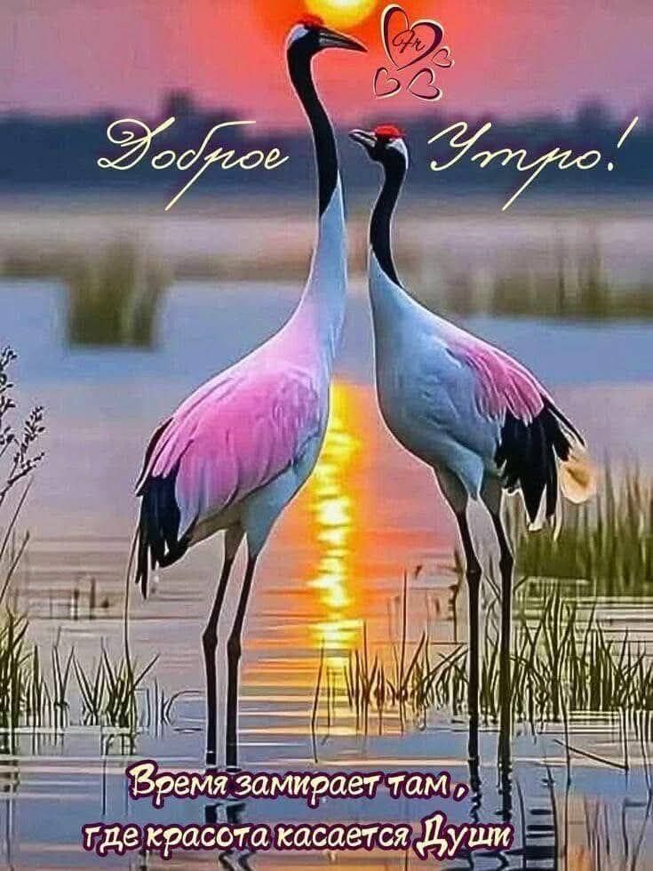 Доброе Утро!
Время замирает там, где красота касается Души