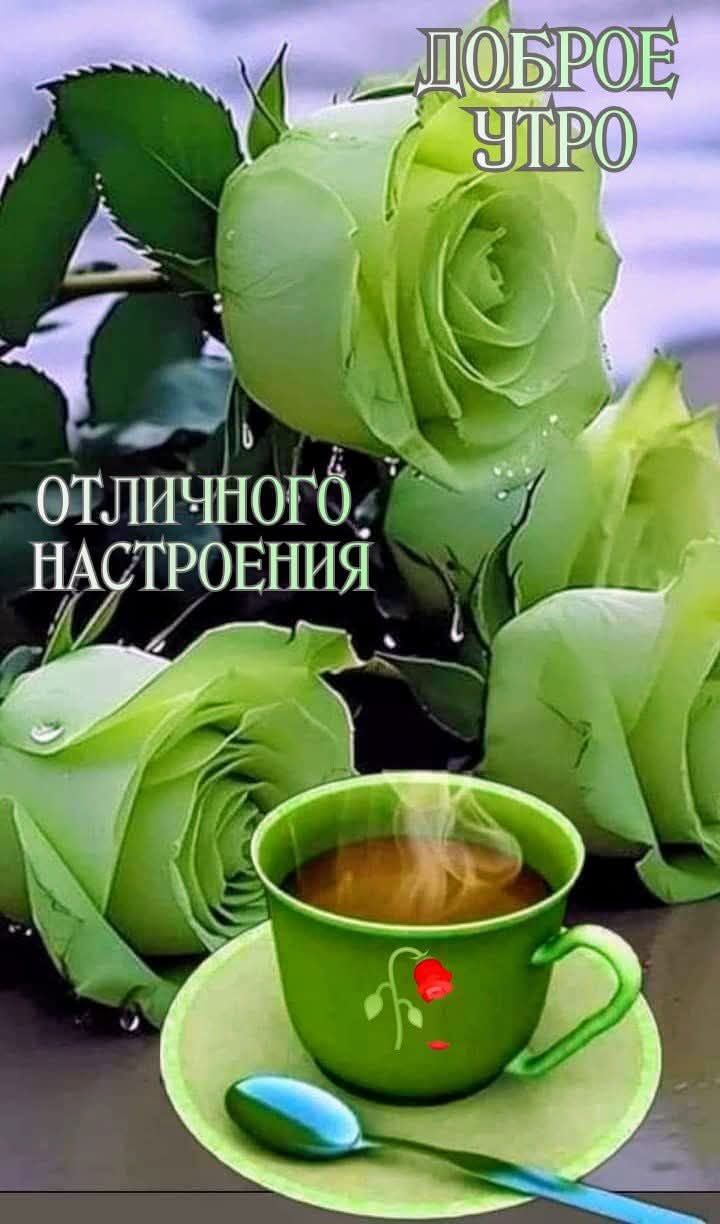 ДОБРОЕ УТРО ОТЛИЧНОГО НАСТРОЕНИЯ
